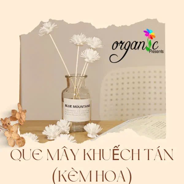 QUE KHUẾCH TÁN TINH DẦU - KHÔNG BAO GỒM CHAI LỌ, CHỈ CÓ QUE