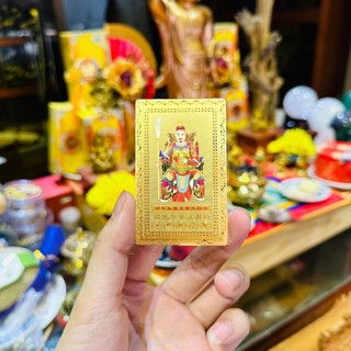 [GIÁ SỈ] Kim Bài Thái Tuế 2026 BÍNH NGỌ Hóa Giải Phạm Thái Tuế Của Tuổi TÝ - SỬU - MÃO - NGỌ - DẬU Ốp Điện Thoại, bỏ