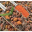 Trái say Nhung lắc muối ớt , trái xay chua ngọt , xoay nhung