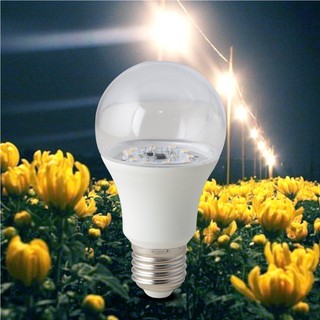 Đèn LED hoa cúc Rạng Đông HC A60/9W Ánh sáng bền đẹp – Tiết kiệm điện