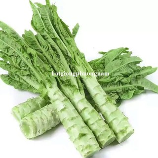 0,5 Gram - Hạt Giống Rau Tiến Vua Xanh/Tím Khổng Lồ F1 Phương Nam