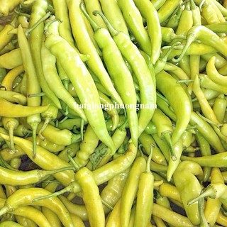 20 Hạt - Hạt Giống Ớt Huế F1 Phương Nam