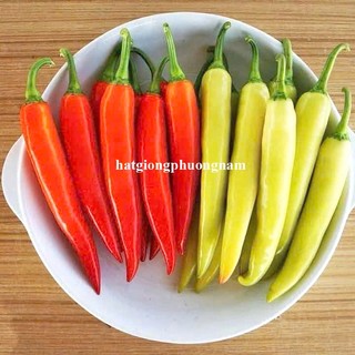 20 Hạt - Hạt Giống Ớt Huế F1 Phương Nam