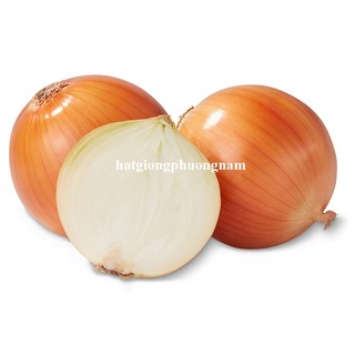 0,5 Gr - Hạt Giống Hành Tây Vàng Phương Nam