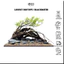Layout Biotope, Blackwater Setup Sẵn | Làm Layout Theo Yêu Cầu