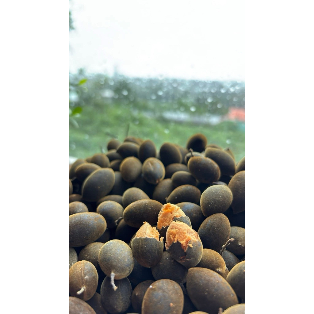 SAY NHUNG RỪNG LOẠI 1 (1kg) | Shopee Việt Nam
