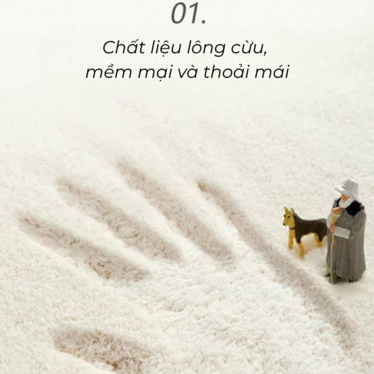 Sử dụng Thảm trong đời sống