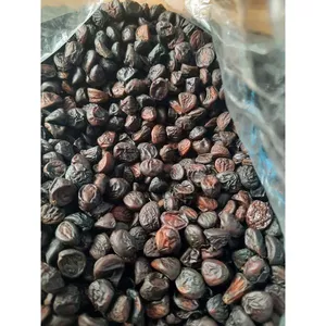 Hạt Dổi Tây Bắc – Gia Vị Thơm Ngon Cho Thịt Nướng, Tiết Canh