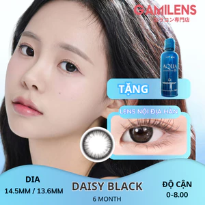 Lens cận 6 tháng DAISY BLACK nội địa Hàn zlens Gamilens - Zlens