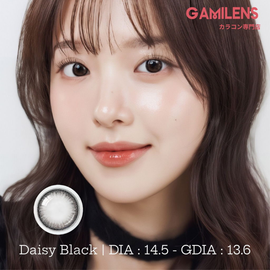 Lens cận 6 tháng DAISY BLACK nội địa Hàn zlens Gamilens  - Zlens