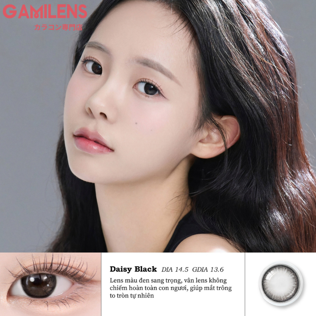 Lens cận 6 tháng DAISY BLACK nội địa Hàn zlens Gamilens  - Zlens