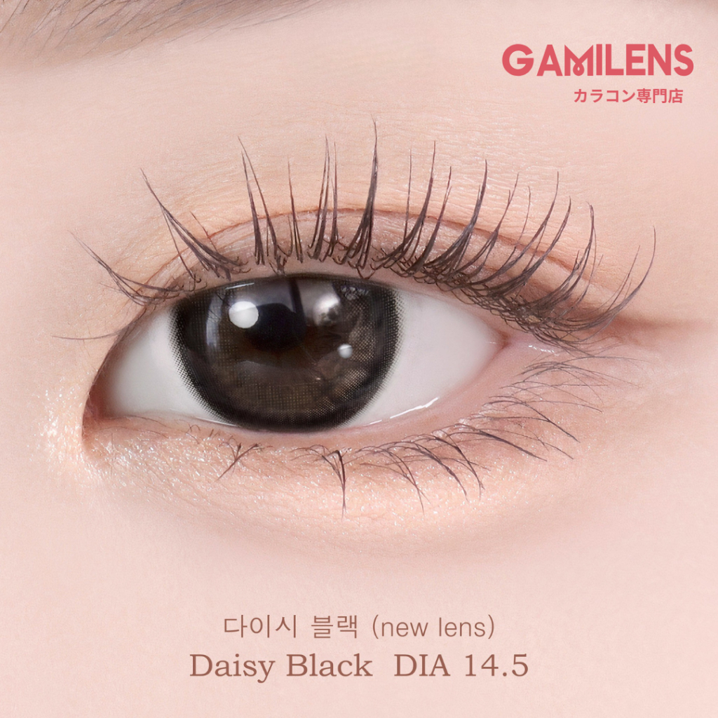 Lens cận 6 tháng DAISY BLACK nội địa Hàn zlens Gamilens  - Zlens