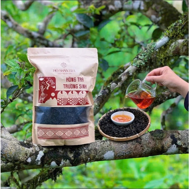 Trà shan tuyết cổ thụ 100 - 200 tuổi, Hồng Trà Trường Sinh | Shopee ...