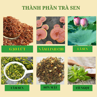 Trà Sen Gạo Lứt Linh Chi Hỗ Trợ Giảm Cân Đốt Mỡ, Giảm Mỡ Máu và Huyết Áp, An Thần Ngủ Ngon