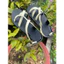 Giày Sandal Nữ Học Sinh-Sinh Viên Dể Phối Đồ Mềm Mại Êm Chân