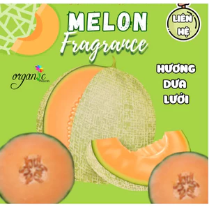 HƯƠNG DƯA LƯỚI (MELON FR - SINGAPORE) 50mL 100mL