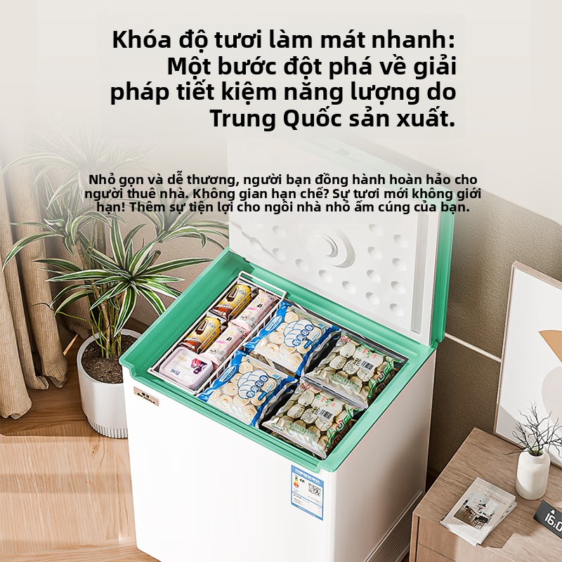 CosantaTủ lạnh mini, tủ đông mini tiết kiệm điện, thân thiện môi trường, làm đá nhanh, phù hợp lưu trữ sữa mẹ, thịt