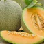 HƯƠNG DƯA LƯỚI (MELON FR - SINGAPORE) 50mL 100mL