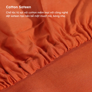 Vỏ Ga Nệm Cotton Sateen 100% 300TC Ru9 | Thoáng Mát Mềm Mịn | Màu Trơn Bo Chun | 6 Size