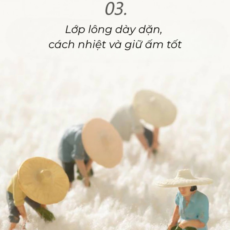 Thiết kế của Tấm Thảm