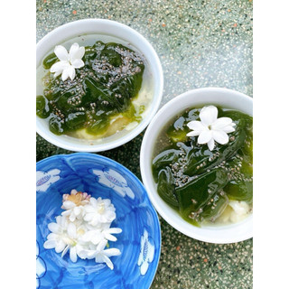 combo 5-10-20kg bột thạch găng xanh (tặng kèm vôi bột)