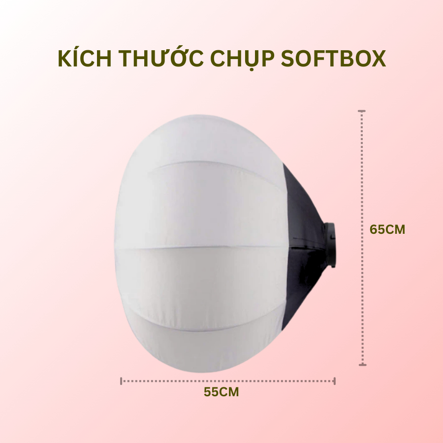 Đèn Livestream, Bộ Đèn Studio Softbox Hình Cầu Công Suất Lớn 3 Màu Ánh Sáng - Hỗ Trợ Livestream, Quay Video, Chụp Ảnh