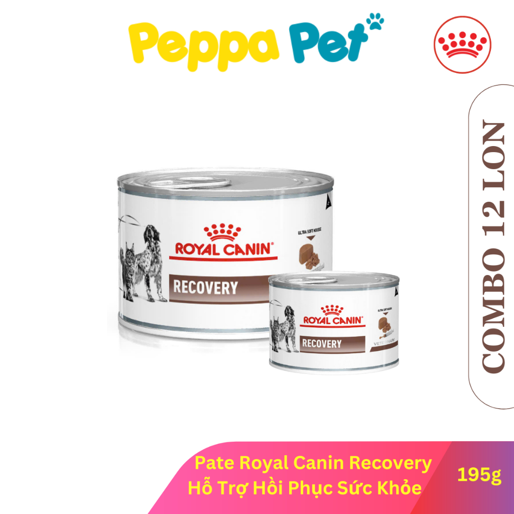 [ COMBO 12 LON ] Pate Cho Chó - Pate Royal Canin Recovery Dành Cho Chó ...