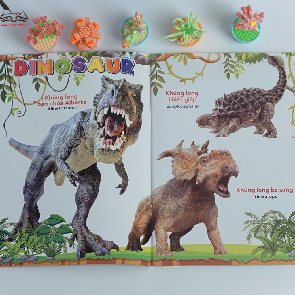 Sách-Bộ 4 Quyển Từ Điển Bằng Hình Cho Bé – Khủng Long, Chữ Cái Số Đếm, Giao Thông, Động Vật