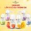 Lăn khử mùi tới 72H Enchanteur dưỡng sáng da X2 từ Niacinamide & Kem sữa tươi 50ml