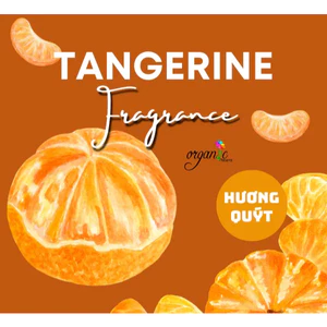 HƯƠNG QUÝT (TANGERINE FR - SINGAPORE) 50mL 100mL