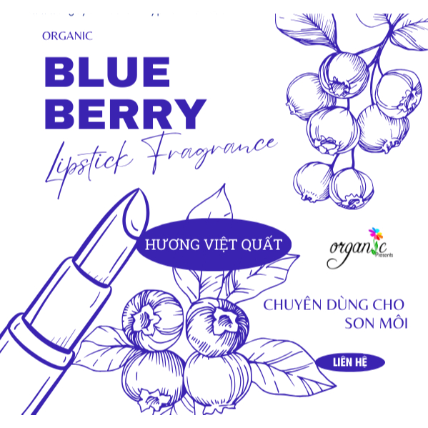 HƯƠNG VIỆT QUẤT (BLUEBERRY LIPS FR - NK)