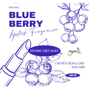 HƯƠNG VIỆT QUẤT (BLUEBERRY LIPS FR - NK)