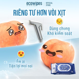 Túi 10 gói khăn ướt đi toilet có thể xả trong bồn cầu Flushable EcoWipes gói 20 tờ hương tự nhiên