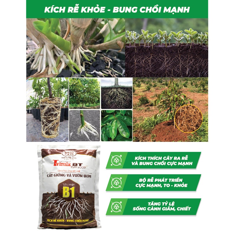 TRIMIX-DT SIÊU RA RỄ 1kg - CHUYÊN DÙNG KÍCH RỄ - KÍCH RỄ KHỎE - BUNG CHỒI MẠNH