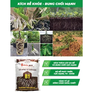 TRIMIX-DT SIÊU RA RỄ 1kg - CHUYÊN DÙNG KÍCH RỄ - KÍCH RỄ KHỎE - BUNG CHỒI MẠNH