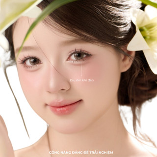 SIHY – Lens [CẬN] NOIR màu xám trong trẻo, độ mắt 0-10 độ, chính hãng Hàn Quốc