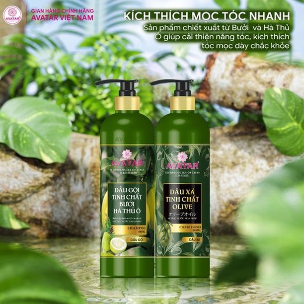 Dầu Gội Avatar Tinh Chất Bưởi Giúp Tóc Bồng Bềnh Chắc Khỏe (600mL)