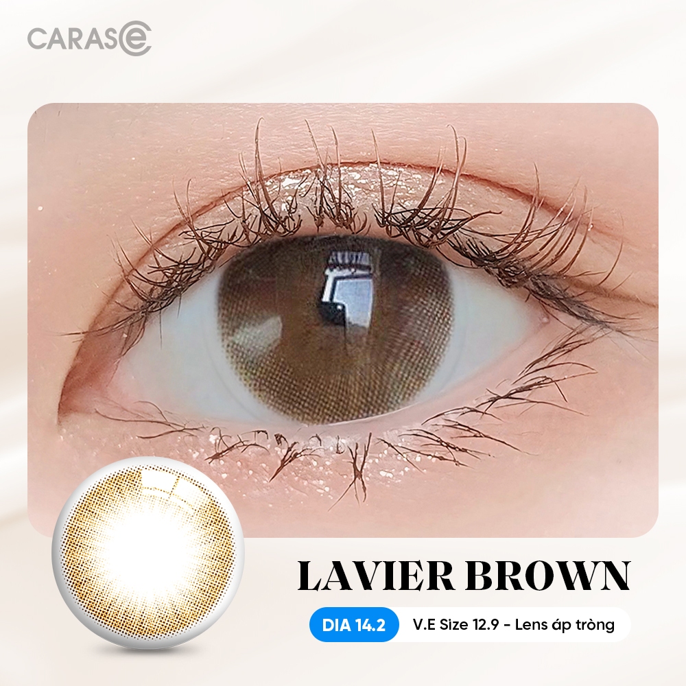 [1 chiếc] Kính Áp Tròng Cận - Loạn CARASE 10H 3 Tháng Màu Lavier Brown(Lens Cận Outlet) -