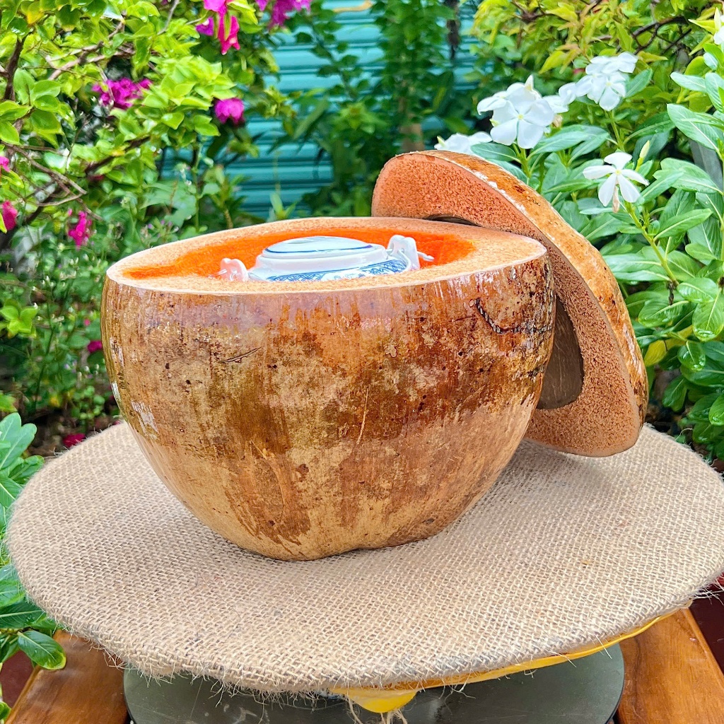 [ SIZE 800ML - 1000ML ] Bình Ủ Ấm Trà TRÁI DỪA BÓNG Giữ Nhiệt Cao Cấp, Quả Dừa Thô Bóng, Phù Hợp Trang Trí Bàn Trà