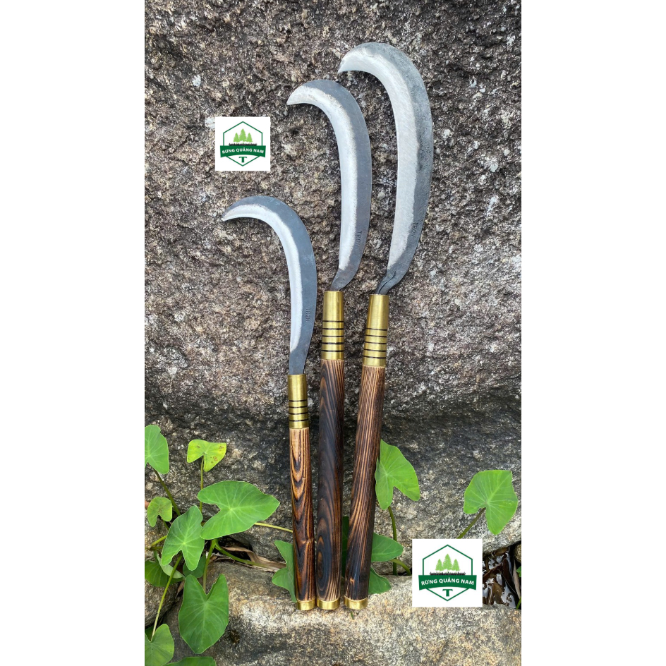 Cây rựa - Giá Tốt, Sale Tháng 07, Ship 0 Đồng | Shopee Việt Nam