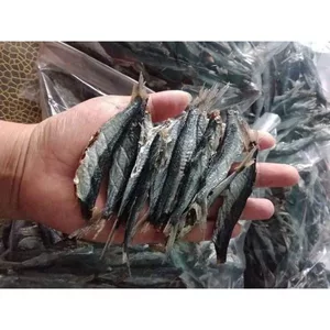Khô Cá Chuồn Mít – Đặc Sản Miền Trung Đậm Đà Hương Biển 500gr