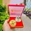 CẶP ĐỒNG XU ÚC MẠ VÀNG MẠ BẠC 2026 HÌNH CON NGỰA, KÈM HỘP NHUNG NỀN ĐỎ