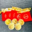 SET 5 ĐỒNG Xu NGỰA VÀNG KÈM TÚI GẤM ĐỎ MAY MẮN (HÀNG MỚI) - Tết 2026