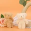 Móc khoá gấu bông cute, mẫu ngẫu nhiên