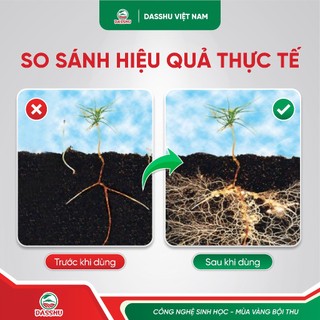 Combo 3 Hũ Phân Bón DASSHU Z1000 Hỗ Trợ Rễ Ra Nhiều, Bung Đọt, Phục Hồi Cây Sầu Riêng,Cây Cà Phê