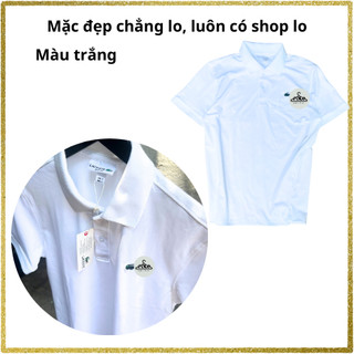 Tổng hợp Áo Polo Nam Đen Basic – Áo Thun Có Cổ Xuất Dư Cao Cấp – Form Chuẩn, Vải Mát