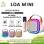 Loa Karaoke Mini Có 2 Micrô Không Dây, loa karaoke nghe nhạc hát tại nhà,có thể thay đổi giọng,Dễ Sử Dụng