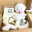 Set Quà Sinh Nhật Cute LINDO, Quà Tặng 8/3, 20/10, 14/2, Các Dịp Đặc Biệt