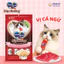 Combo 4 súp thưởng dạng thanh cho mèo Silver Spoon 56g ( 4 thanh 14g) - 6 Vị Thơm Ngon - 100% thịt cá thật hảo hạng