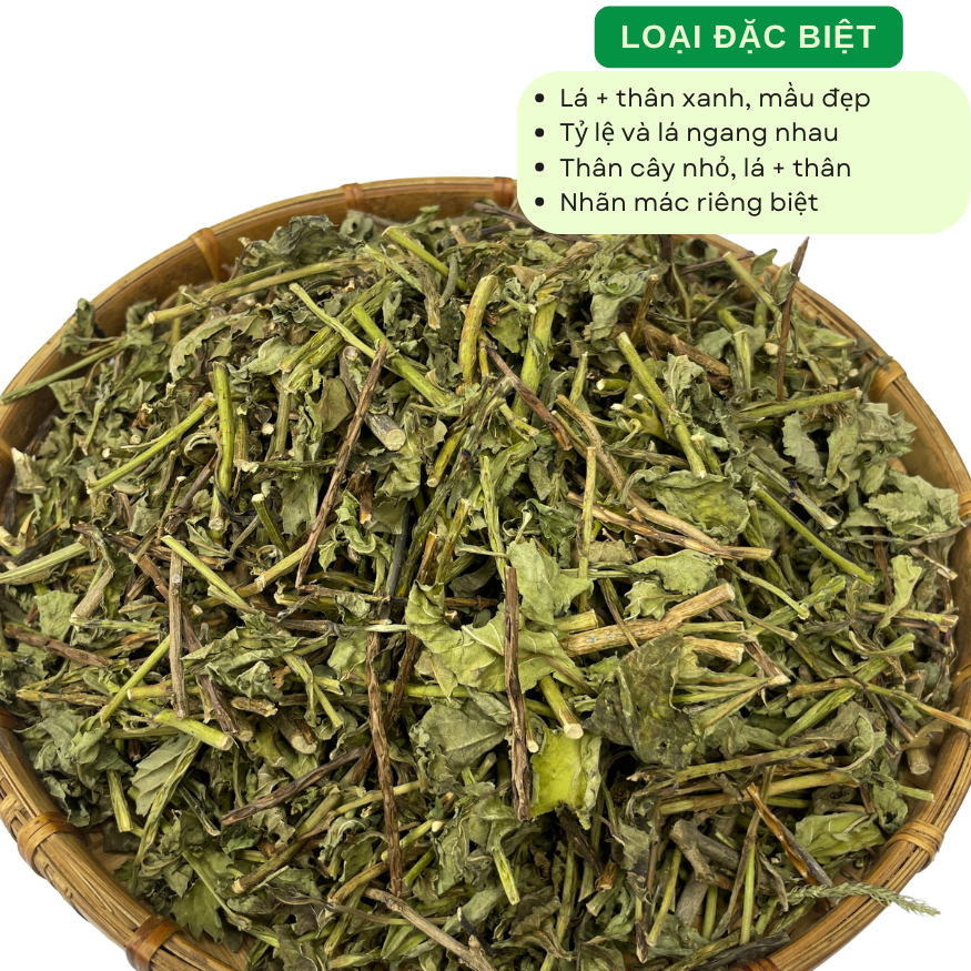 500g, 1kg Cây Đuôi Chuột Hoa Tím (Mạch Lạc) Loại 1 Đức Thiện - Hỗ Trợ Vấn Đề Hở Van Tim, Lợi Tiểu